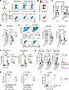 Myeloid cell–expressed FX regulates monocyte-platelet aggregate formation d