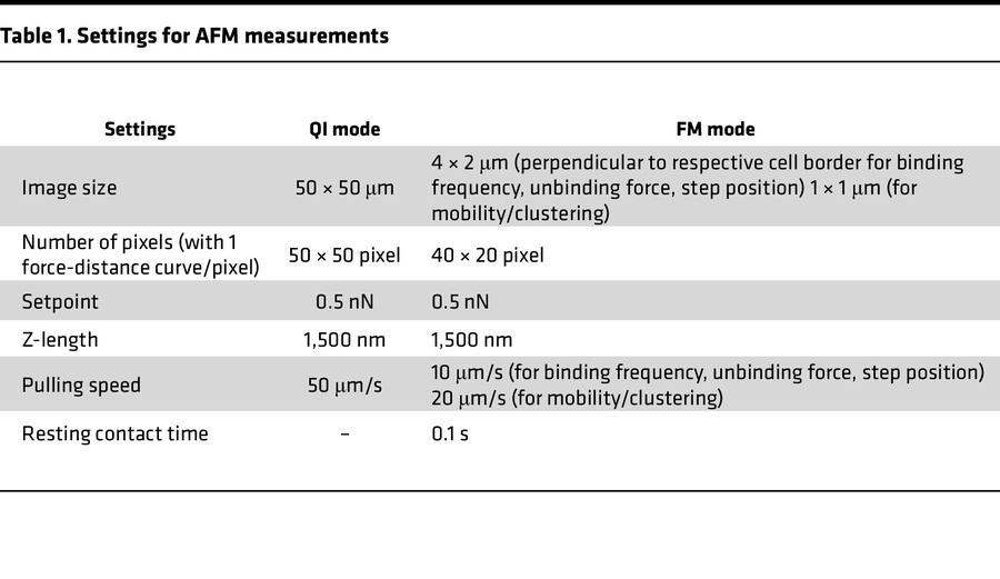 Settings for AFM measurements
