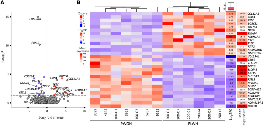 PLWH-derived iNs exhibit statistically significant DEGs compared with iN...