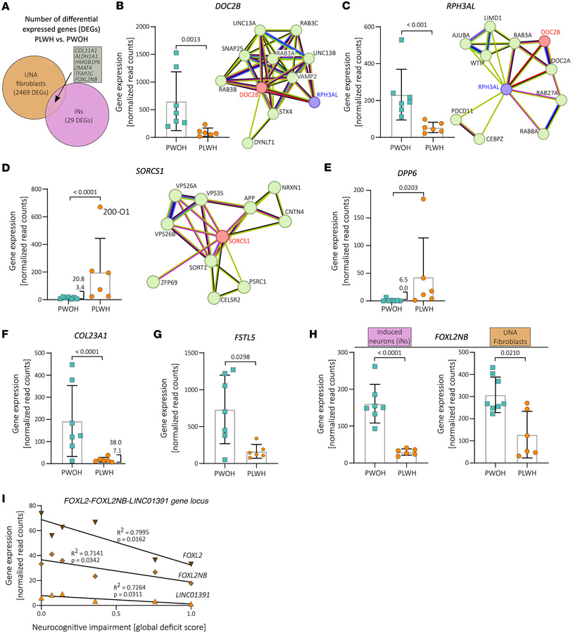 Differential gene expression of candidate genes potentially affected in ...