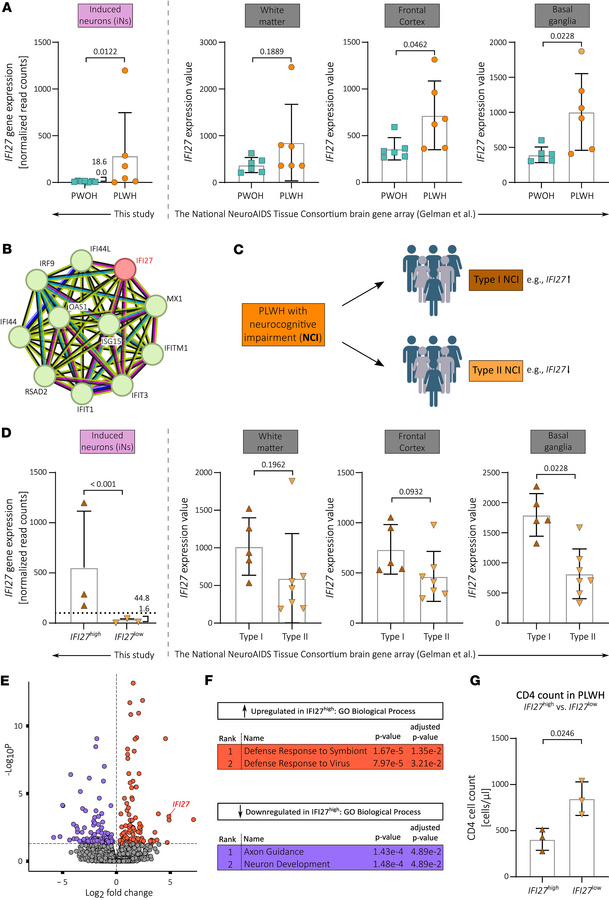 
IFI27 expression levels are increased in PLWH-derived iNs and postmorte...