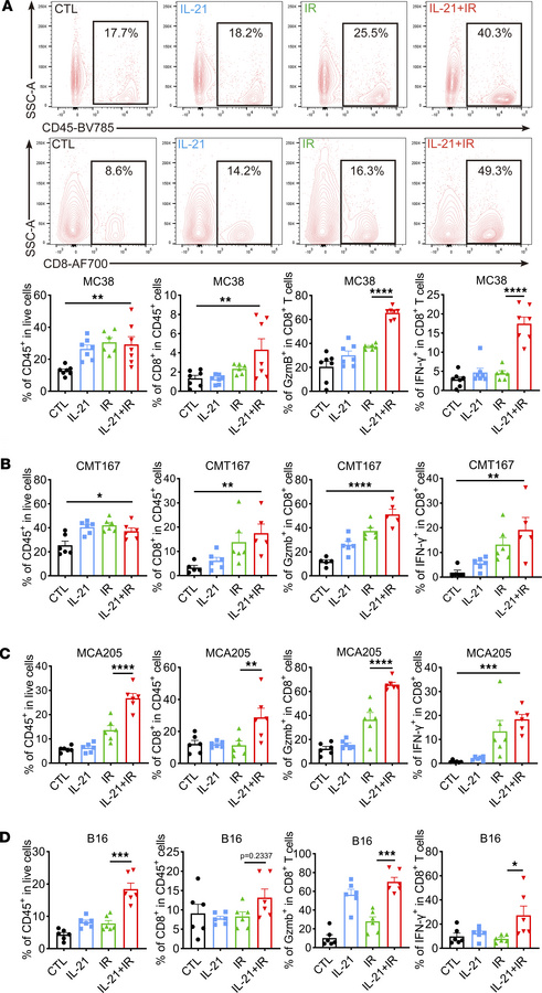 IL-21 combined with radiation enhances the cytotoxicity of CD8+ T cells ...