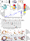 Single-cell spatial transcriptomic profiling of normal and aneurysmal abdom