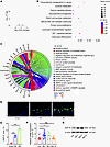 GDF15 is upregulated in the endplates of LSI mice.