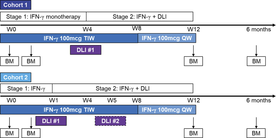 Clinical trial design.
Treatment on the study was in 2 stages: (a) IFN-γ...