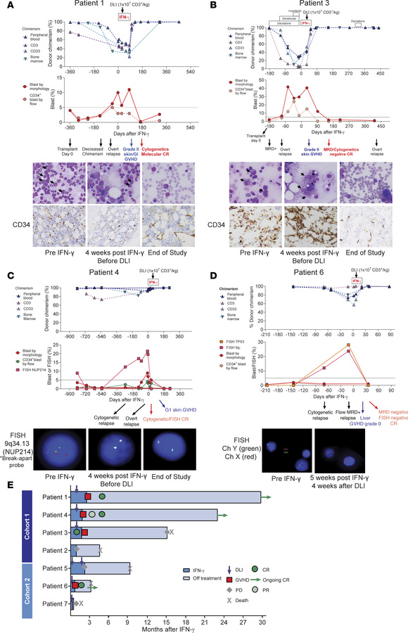 Clinical course of responders after initiation of IFN-γ.
Panels A–D capt...