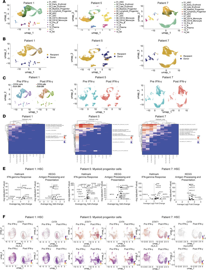 scRNA-Seq of BM samples collected before and after in vivo treatment wit...