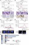 Clinical course of responders after initiation of IFN-γ.