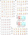 IFN-γ responsiveness of leukemia myeloblasts.