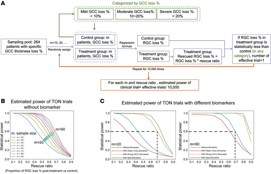 Computer simulations demonstrating that stratification of TON severity u...