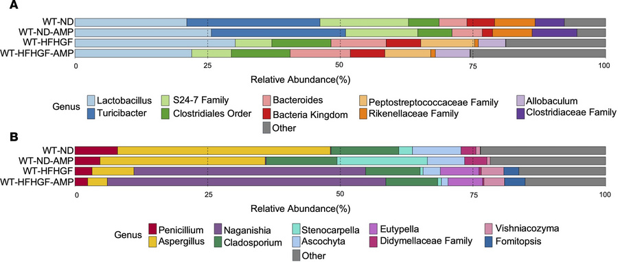 Treatment with amphotericin B (AMP) alters gut microbiota.
WT mice fed n...