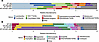 Treatment with amphotericin B (AMP) alters gut microbiota.
