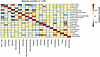 Spearman’s correlation between top 10 fungi and bacteria found in the Card9