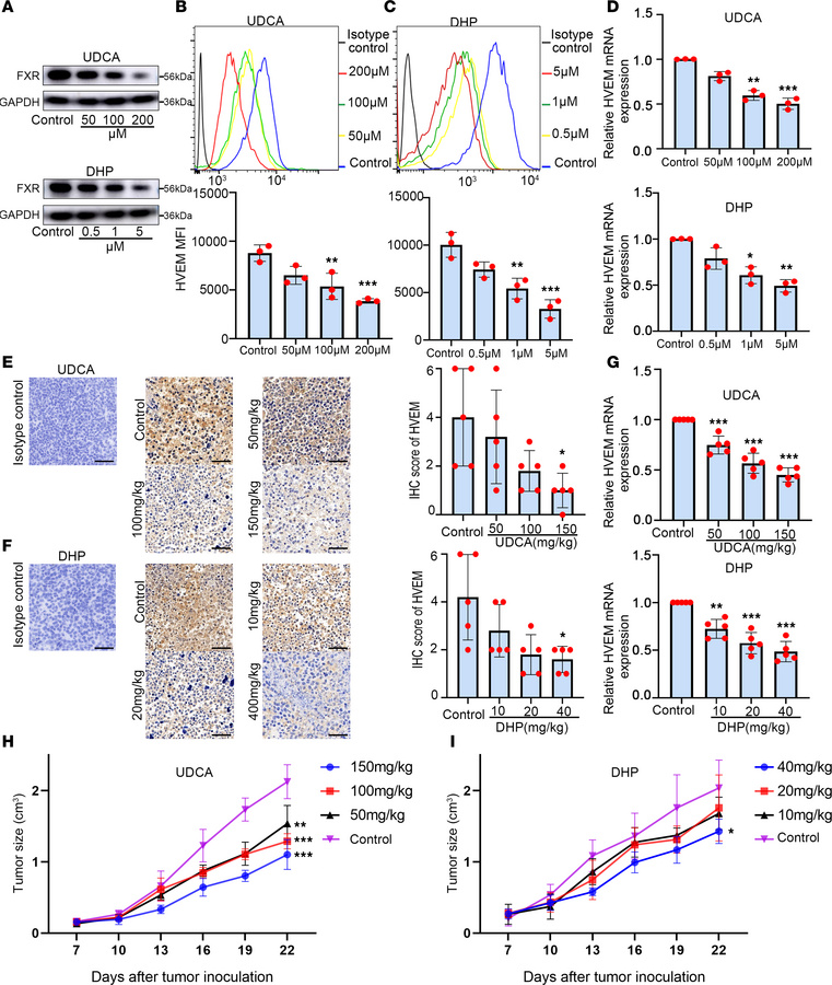 FXR antagonists dose-dependently inhibit HVEM expression in NSCLC.
A549 ...