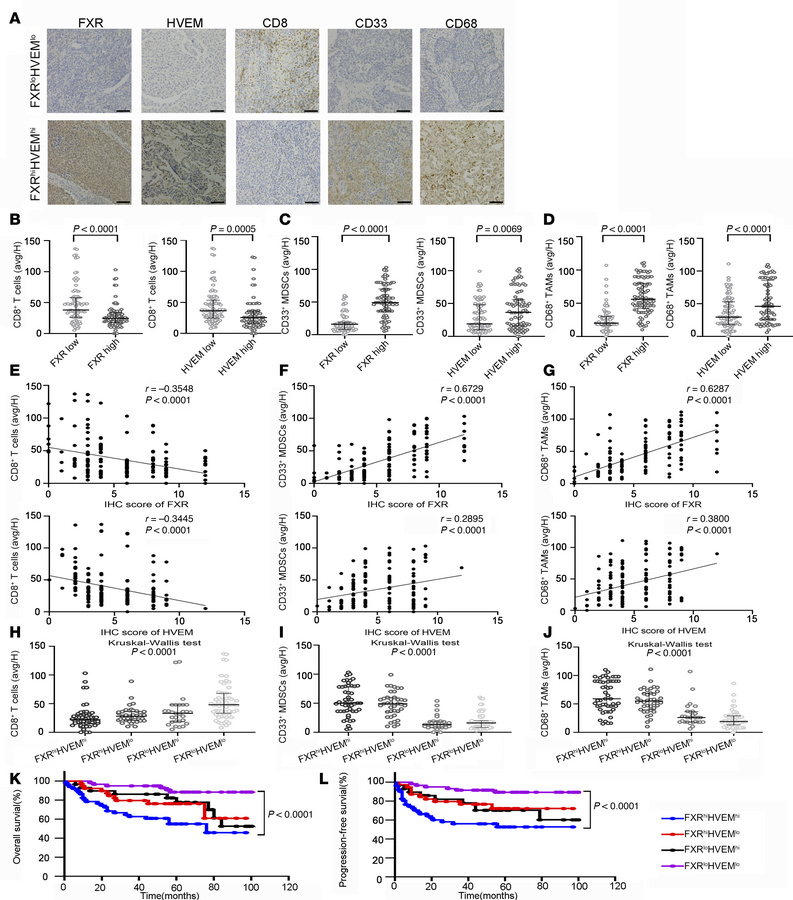 Correlation of FXR/HVEM axis with tumor immune infiltration and clinical...