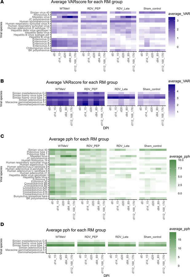 Effect of remdesivir administration to MeV-infected rhesus macaques on l...