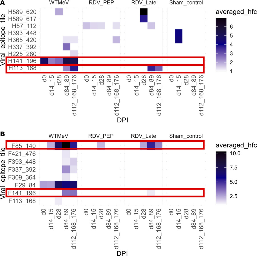 Longitudinal average peptide hits to selected MeV peptides in the H and ...