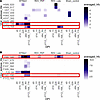 Longitudinal average peptide hits to selected MeV peptides in the H and F p