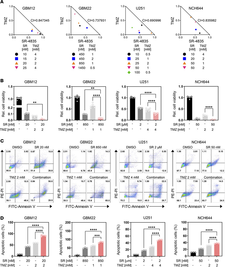 The combination treatment of SR-4835 and TMZ induces a synergistic growt...