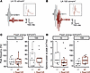 Photopic oscillatory potentials in light adapted ERG recordings are not alt