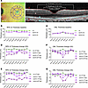 Change in outer nuclear layer and RPE thickness over time in the Q327-mutan