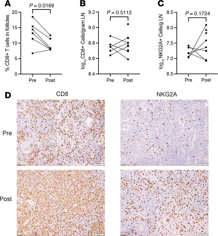 Measures and function of CD8+ T cells and NK cells in LNs.
(A) Frequency...