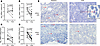 Analysis of changes in frequency of vRNA+ and vDNA+ cells in LTs.