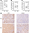 Measures and function of CD8+ T cells and NK cells in LNs.