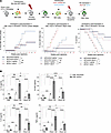 Oxr1 knockdown in murine CML marrow increases BC and alters cytokine expres
