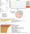 Mutagenesis in CML is increased by Oxr1 knockdown and emergency granulopoie