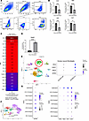 TNF-α represses myofibroblast gene expression and increases Setdb2 expressi