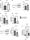 Setdb2 expression is upregulated by TNF-α via JAK1,3/STAT3 signaling.