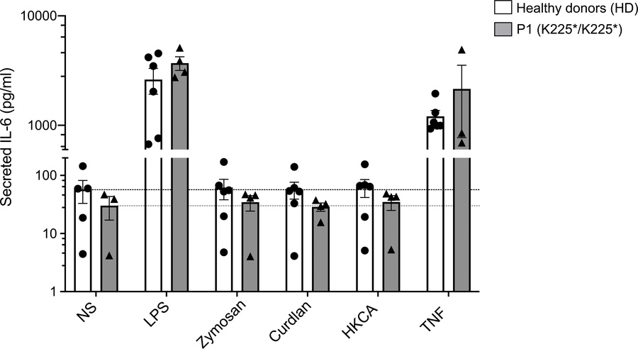 CARD9 K225* primary fibroblast response to fungal-specific antigens.
IL-...