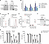 Expression of WT and mutant CARD9 protein in HEK293T cells and patient’s pr