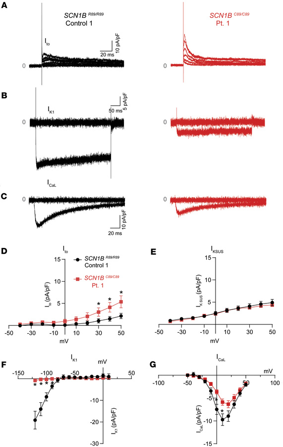 IK and ICaL properties of control and Pt. 1 iPSC-CMs.
(A) Representative...