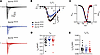Sodium current (INa) properties of acutely isolated Scn1bR89/R89, Scn1bR89/