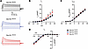 Recordings of Ito, IKSUS, and IK1 in acutely isolated P18–P25 mouse CMs.
