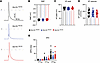 AP properties of acutely isolated P18–P25 Scn1bR89/R89, Scn1bR89/C89, and S