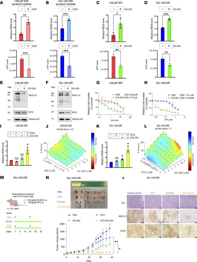 MUC1-C integrates redox balance and the drug-resistant phenotype.
(A and...
