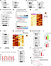 MUC1-C/MYC pathway regulates aerobic glycolysis, ENZ resistance, and the CS