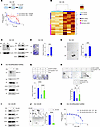 DU-145-DR cells are dependent on MUC1-C for DTX resistance and self-renewal