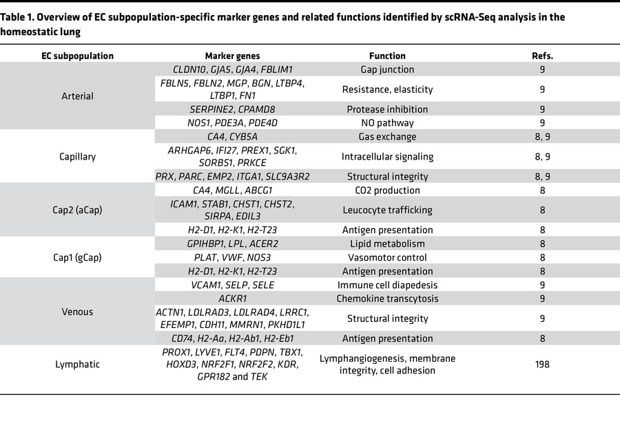 Overview of EC subpopulation-specific marker genes and related functions...