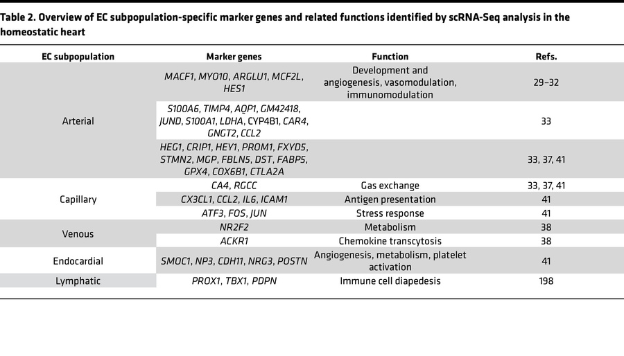 Overview of EC subpopulation-specific marker genes and related functions...