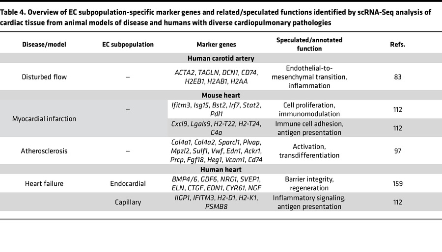 Overview of EC subpopulation-specific marker genes and related/speculate...