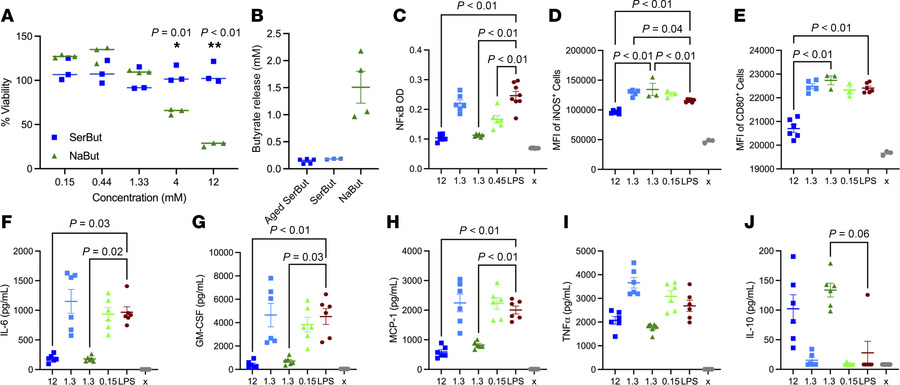 SerBut reduces cytotoxicity as a carrier of inflammatory NF-κB pathway–s...