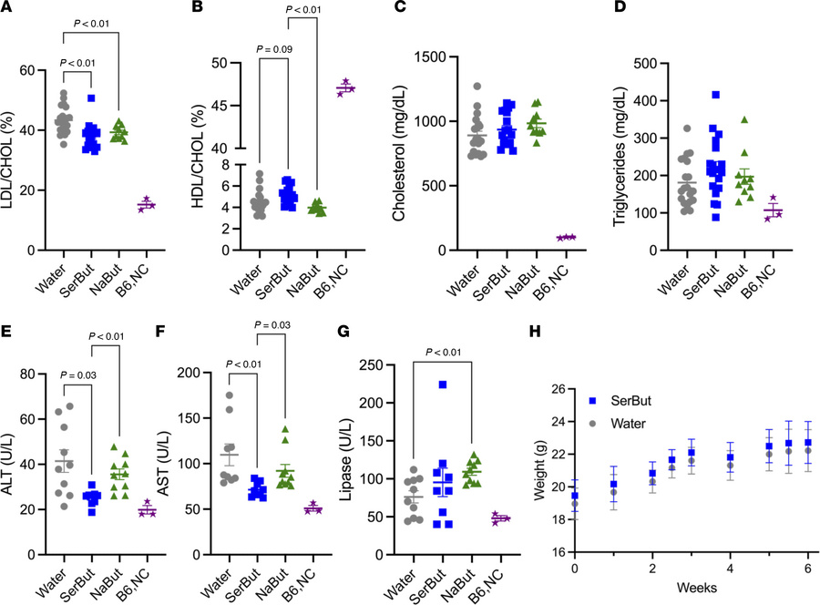 SerBut suppresses plasma LDL-C and reduces liver damage markers.
Plasma ...