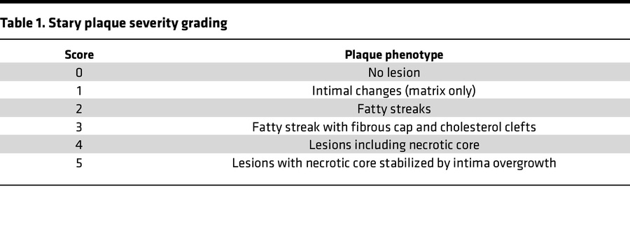 Stary plaque severity grading