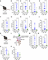 Seryl modification increases oral bioavailability of butyrate in atheroscle