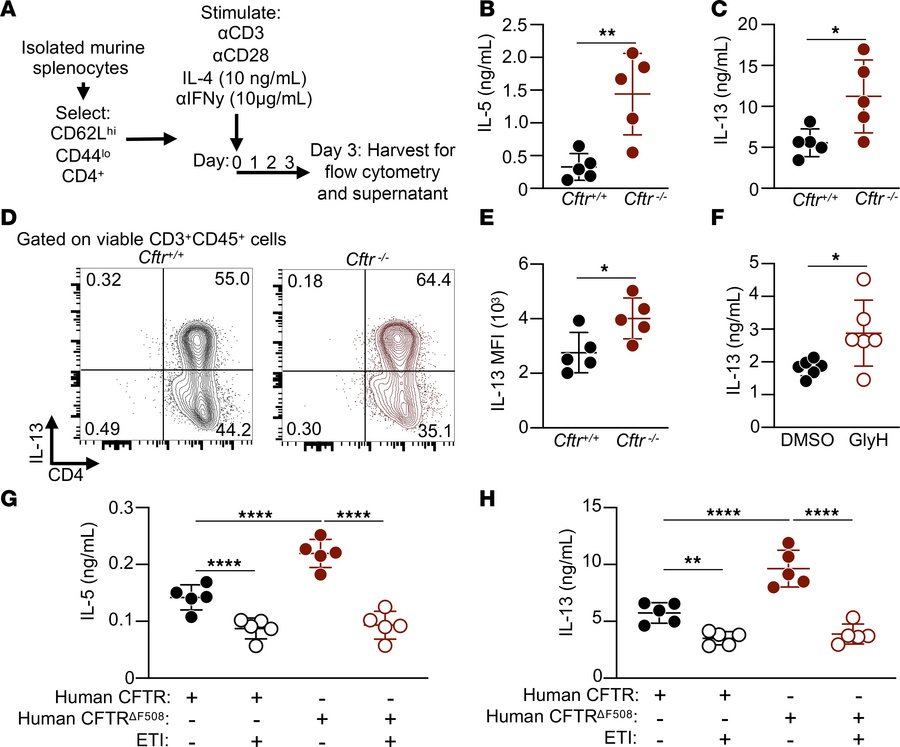 Loss of CFTR increases Th2 polarization and effector function.
(A) Schem...