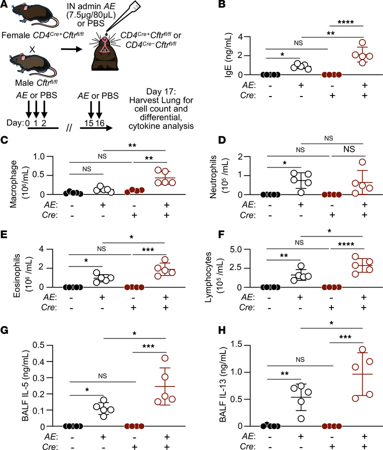 CD4+ T cell–specific CFTR deficiency increases Alternaria extract–induce...